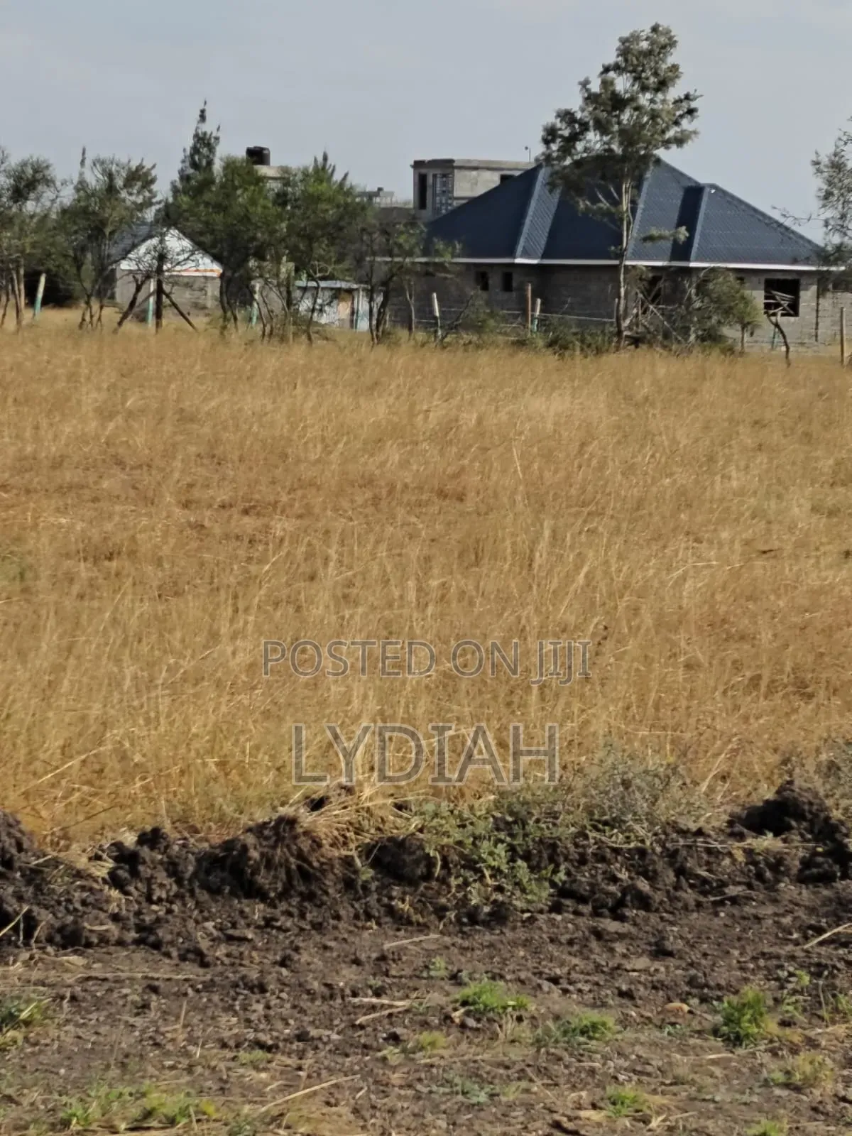 50 by 100 Plots for in Juja Ndarasha Murera