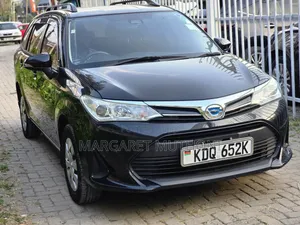 Toyota Corolla Fielder 2018 Black