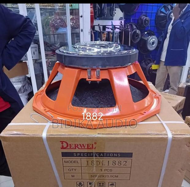 Derwel 18DL1882 Professional 18" Naked Bass Speaker