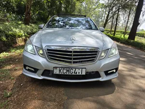 Mercedes-Benz E250 2010 Silver