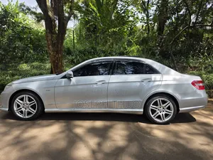 Mercedes-Benz E250 2010 Silver