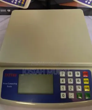 DT580 Weighing Scale