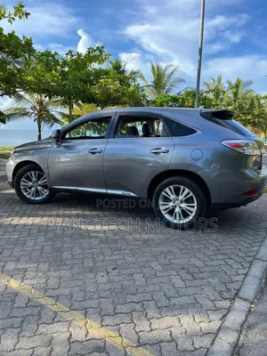 Lexus RX 2011 Gray