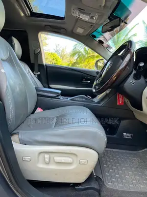 Lexus RX 2011 Gray