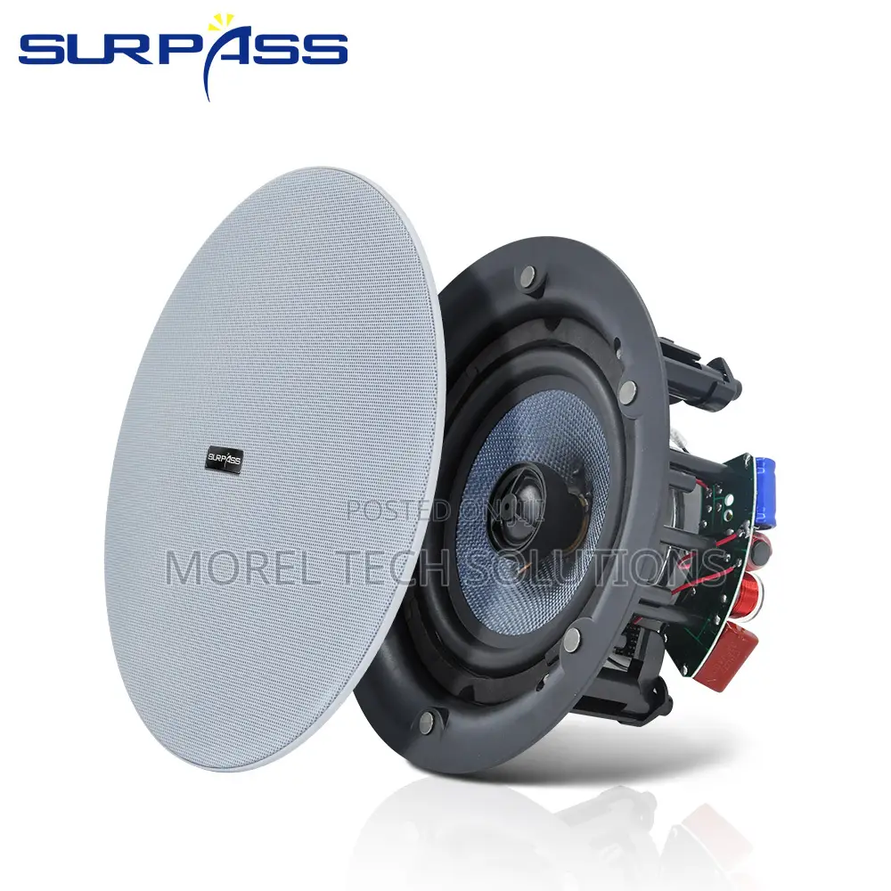 6.5-Inch, 40W Passive Ceiling Speaker With Magnetic Frameless Grill
