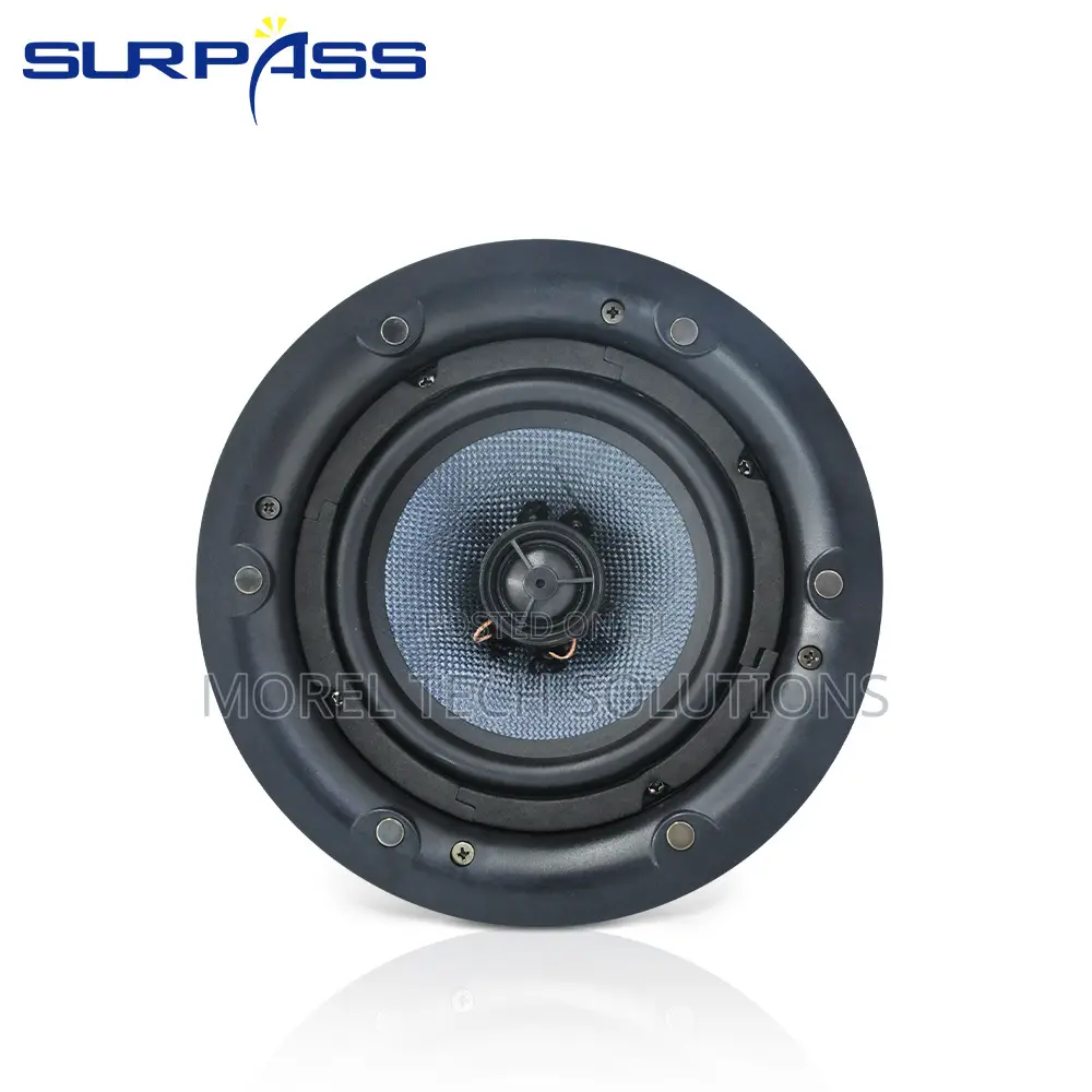 6.5-Inch, 40W Passive Ceiling Speaker With Magnetic Frameless Grill