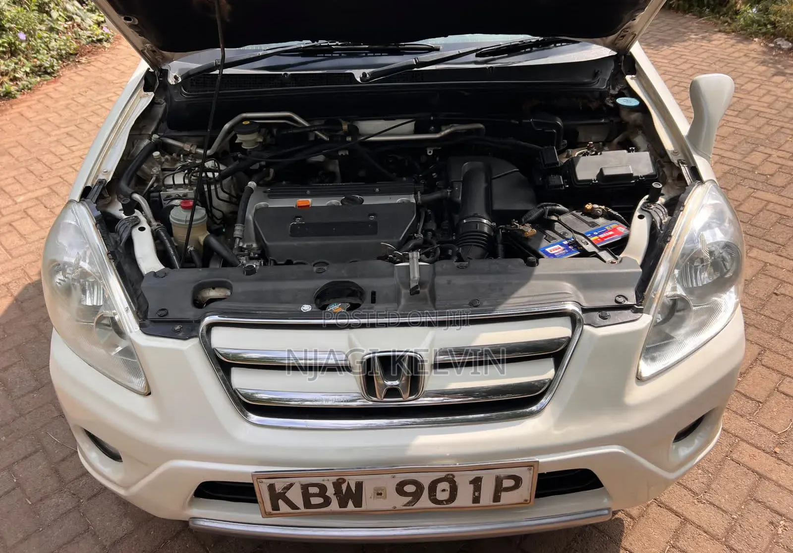 Honda CR-V 2006 White