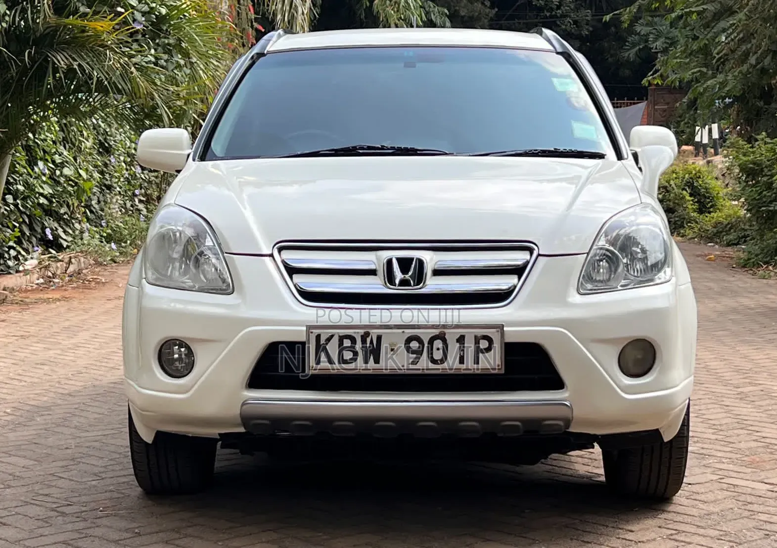 Honda CR-V 2006 White