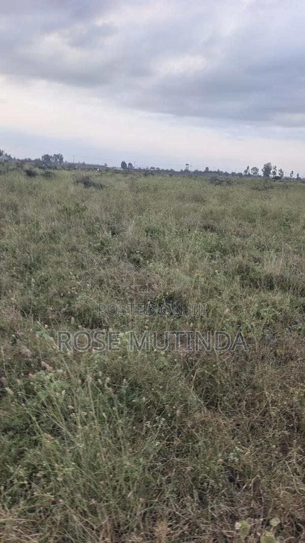 10acres at Sabaki - main view