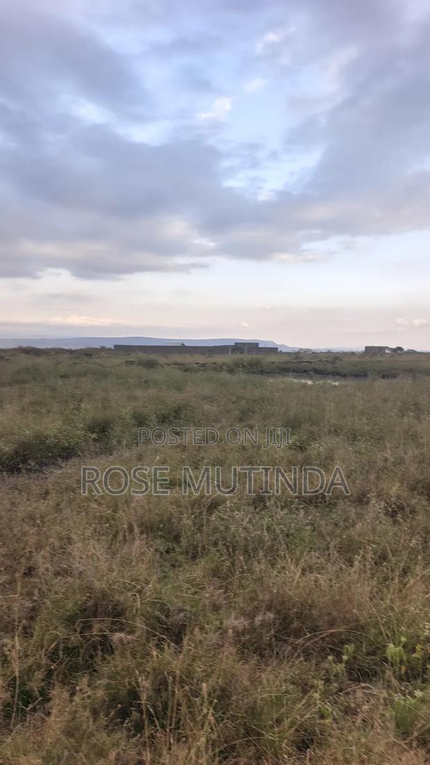 10acres at Sabaki - thumbnail 2