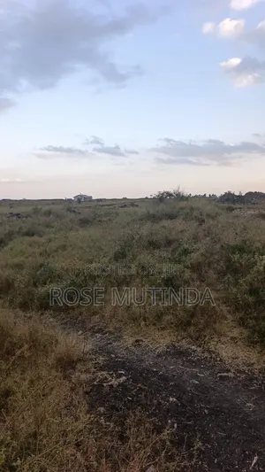 10acres at Sabaki