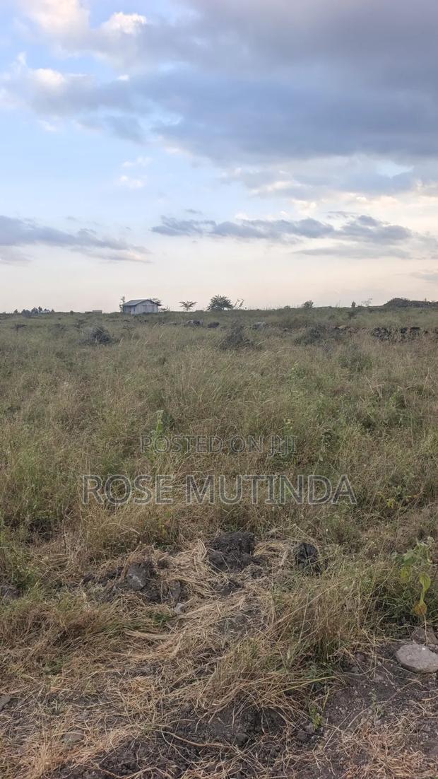 10acres at Sabaki - thumbnail 4