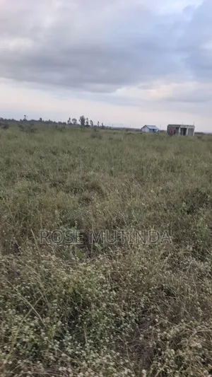 10acres at Sabaki