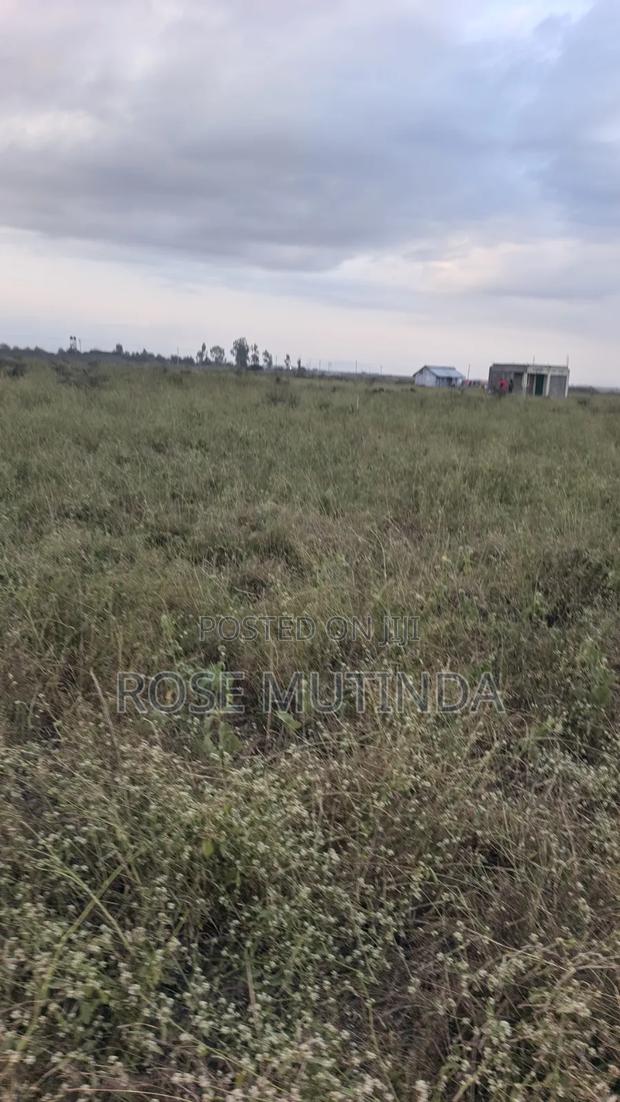 10acres at Sabaki - thumbnail 5