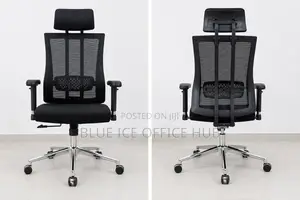 Orthopaedic Office With Supportive Back