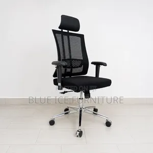 Orthopaedic Office With Supportive Back