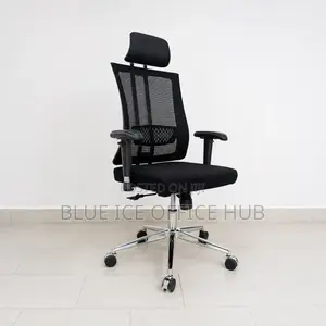 Orthopaedic Office With Supportive Back