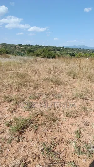 2acres at Nguluni