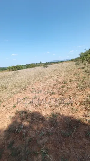 2acres at Nguluni