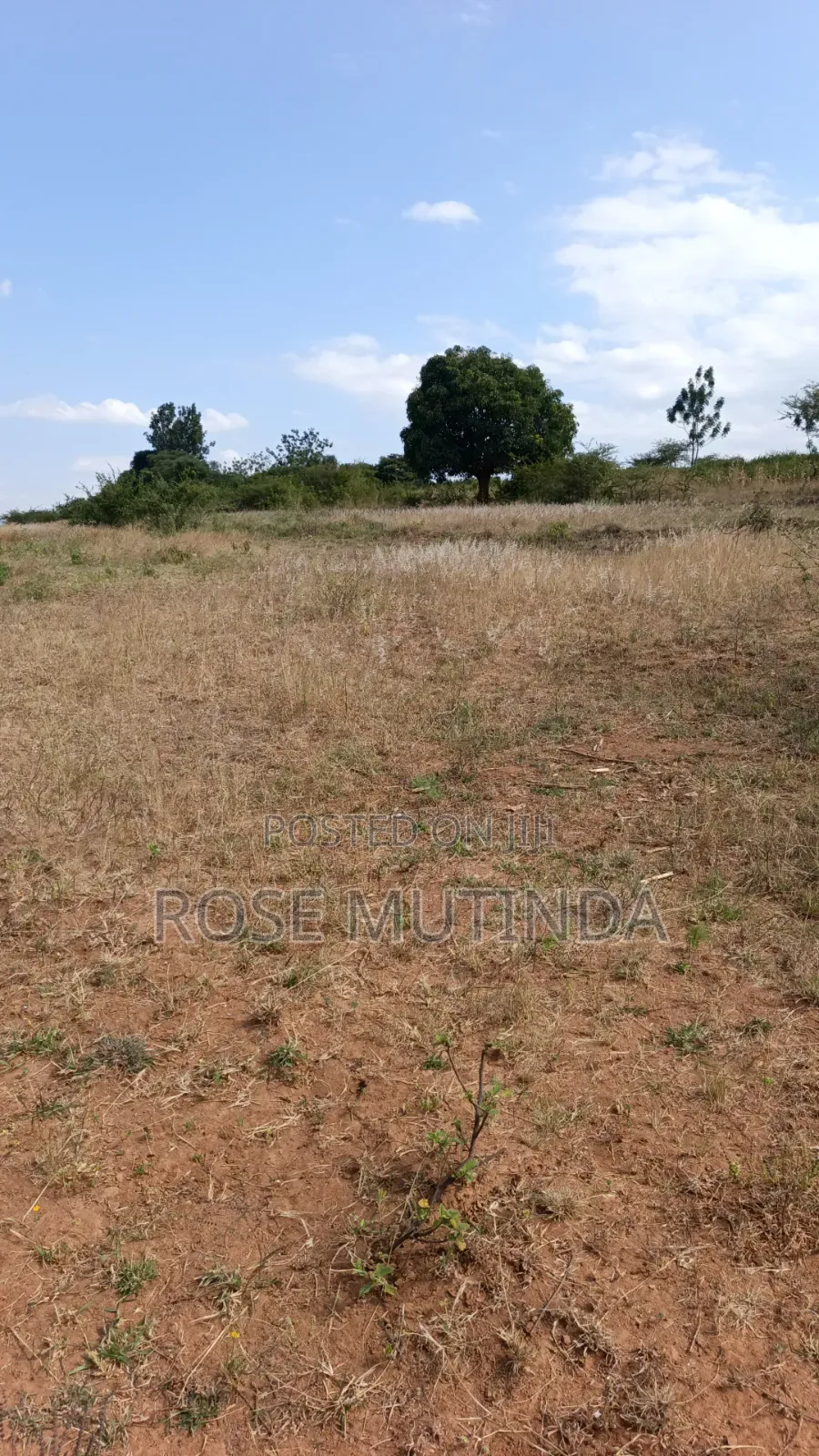 2acres at Nguluni