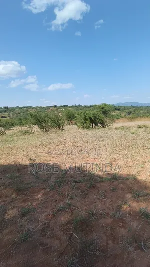 2acres at Nguluni