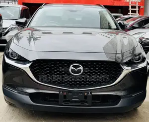 Mazda CX-30 Select i-Activ 2020 Gray