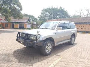 Toyota Land Cruiser 2003 Silver