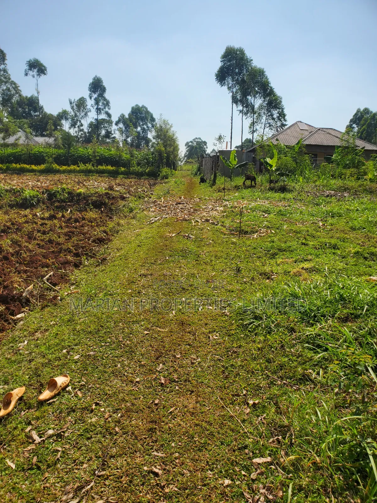 Prime Land