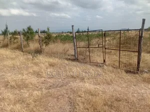 Half an Acre Wendano