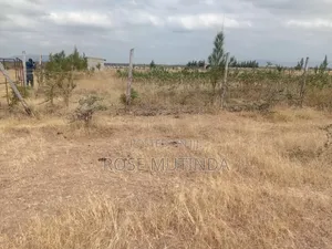 Half an Acre Wendano