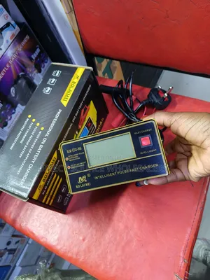 12v/24v Pulse Repair Car Battery Charger – Bolaimei