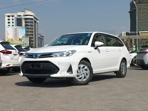 Toyota Corolla Fielder 2019 White