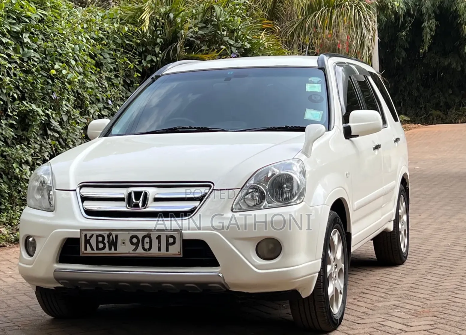 Honda CR-V 2006 White
