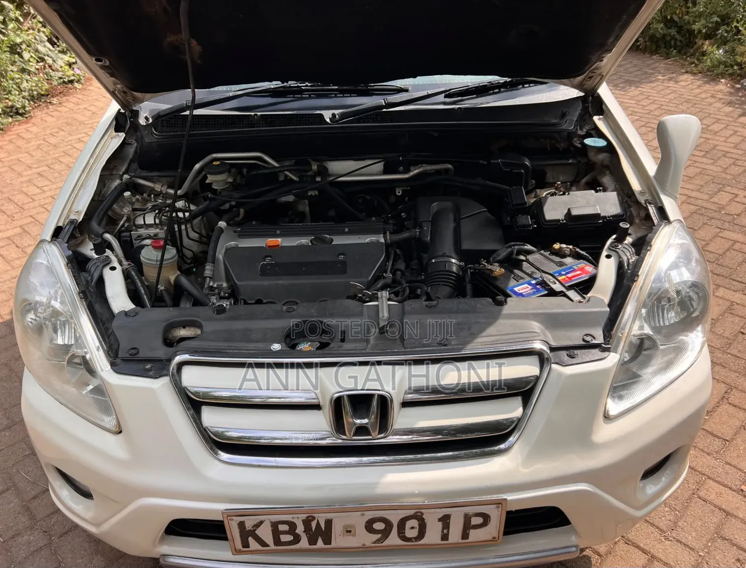 Honda CR-V 2006 White