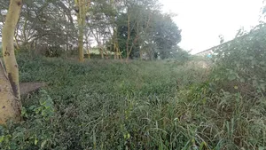 3.5 Acres of Prime Commercial Property for Sale - Athi River