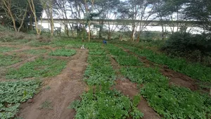 3.5 Acres of Prime Commercial Property for Sale - Athi River
