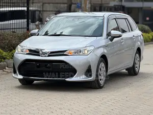 Toyota Corolla Fielder 2019 Silver
