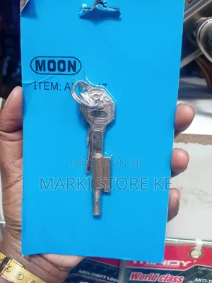 Antigen Keyhole Blocker With Two Keys