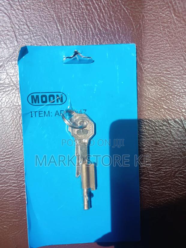 Antigen Keyhole Blocker With Two Keys - thumbnail 2