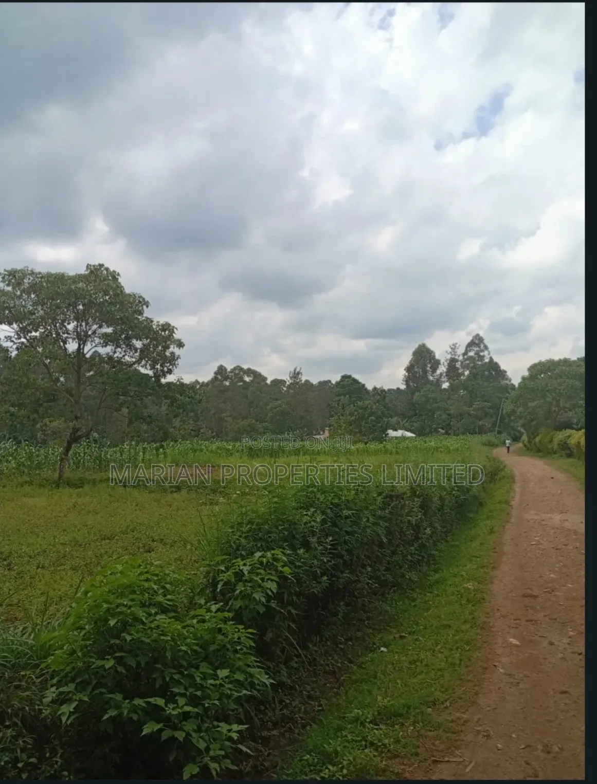 Prime Land