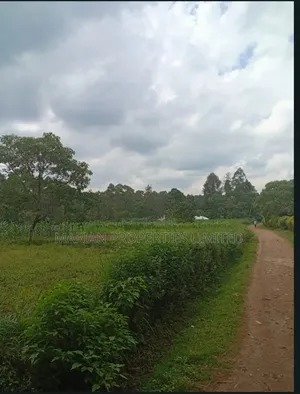Prime Land