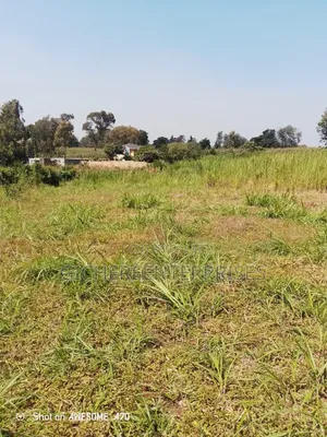 Lower Kabete Road