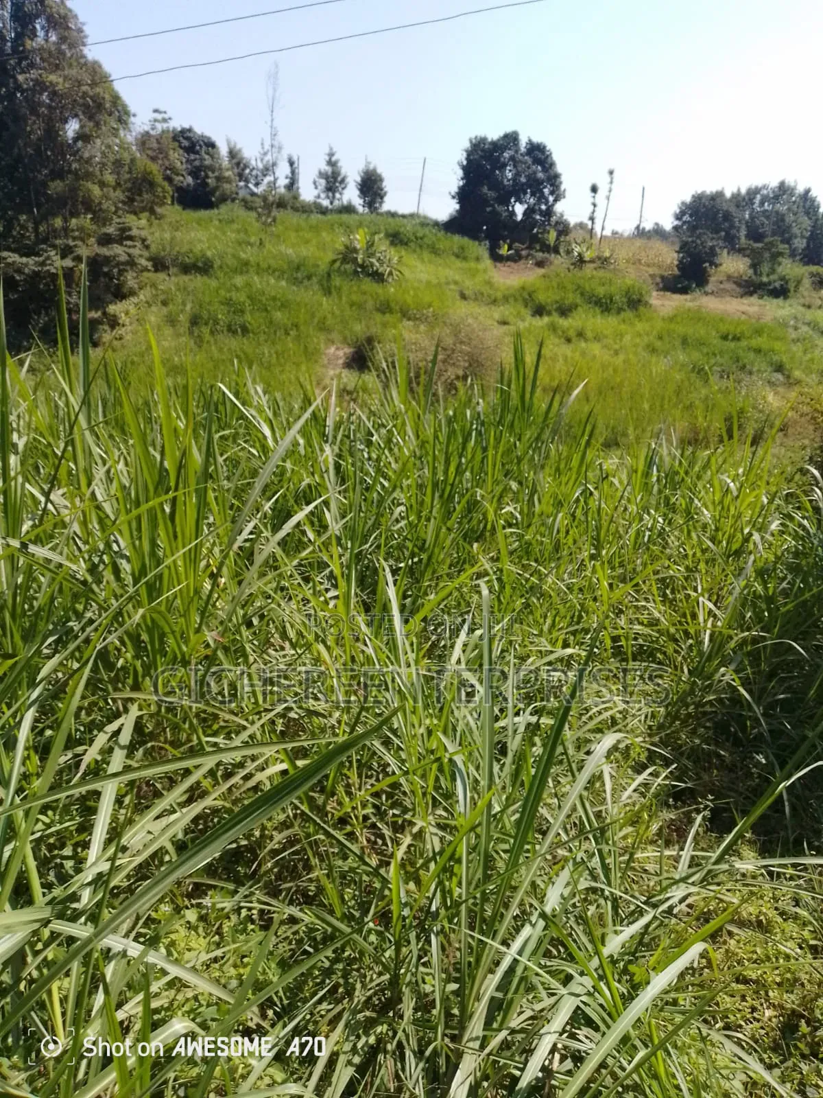 Lower Kabete Road