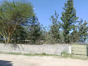 Thika Superhighway 1 Acre