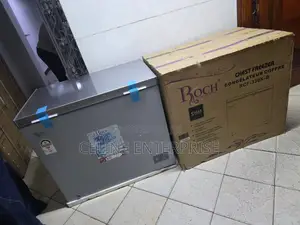 Roch 251L Deep Freezer