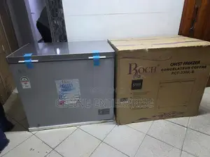 Roch 251L Deep Freezer