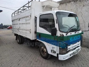 Isuzu NMR 2010 White