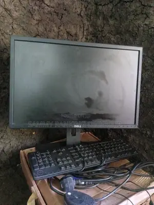 Dell 22" Monitor P2217h