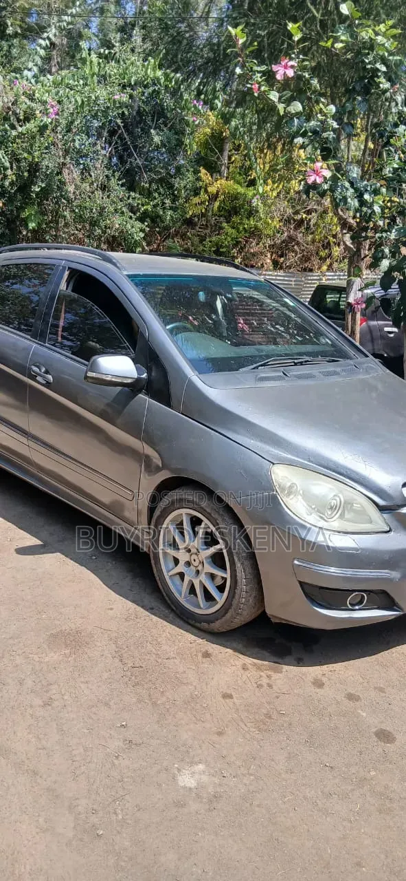 Mercedes-Benz B-Class 2008 Gray