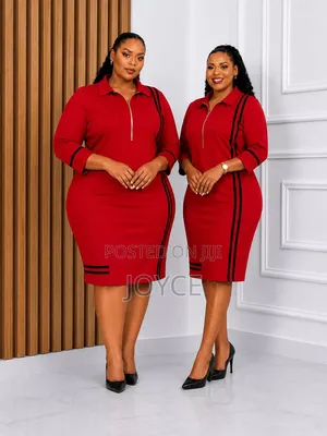 Straight Dress With a Zip